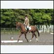 durdress26_0671