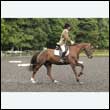 durdress26_0674