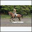 durdress26_0675
