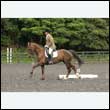 durdress26_0677