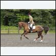 durdress26_0678
