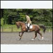 durdress26_0679