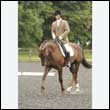 durdress26_0680