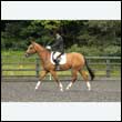 durdress26_0683