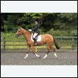 durdress26_0684