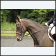 durdress26_0685