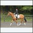 durdress26_0686