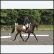 durdress26_0689