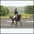 durdress26_0690