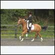 durdress26_0691