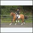 durdress26_0692
