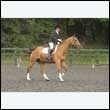 durdress26_0693