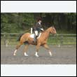 durdress26_0694