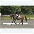 durdress26_0696