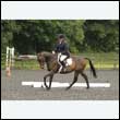 durdress26_0697