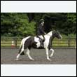 durdress26_0705