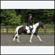 durdress26_0706
