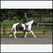 durdress26_0709