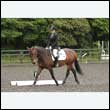 durdress26_0712
