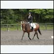 durdress26_0713