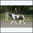 durdress26_0714