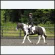 durdress26_0716