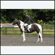 durdress26_0718