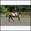 durdress26_0722