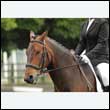 durdress26_0726