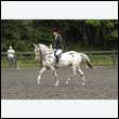 durdress26_0728