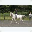 durdress26_0730