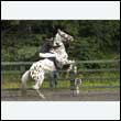 durdress26_0731