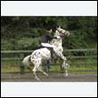 durdress26_0734