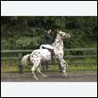 durdress26_0735