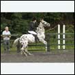 durdress26_0736