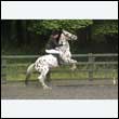 durdress26_0738