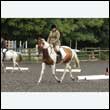 durdress26_0742
