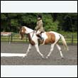 durdress26_0743