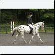 durdress26_0745