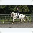 durdress26_0746