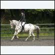 durdress26_0748