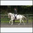 durdress26_0749