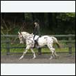 durdress26_0750