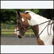 durdress26_0751