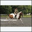 durdress26_0752