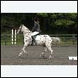 durdress26_0753