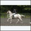 durdress26_0754