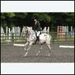 durdress26_0755