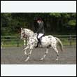 durdress26_0757
