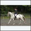 durdress26_0758